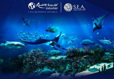 Sea Aquarium Singapore với những khoảnh khắc khám phá đáy biển cực kì thú vị