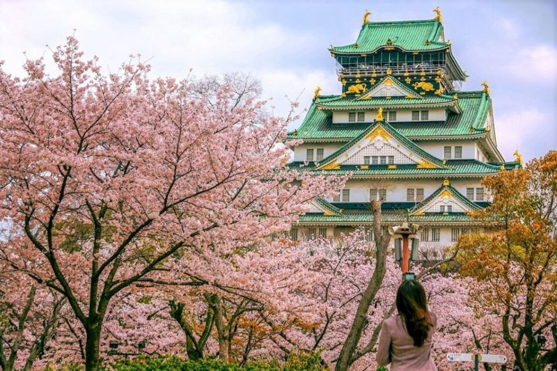 Vẻ đẹp diễm lệ của lâu đài Osaka vào mùa hoa anh đào