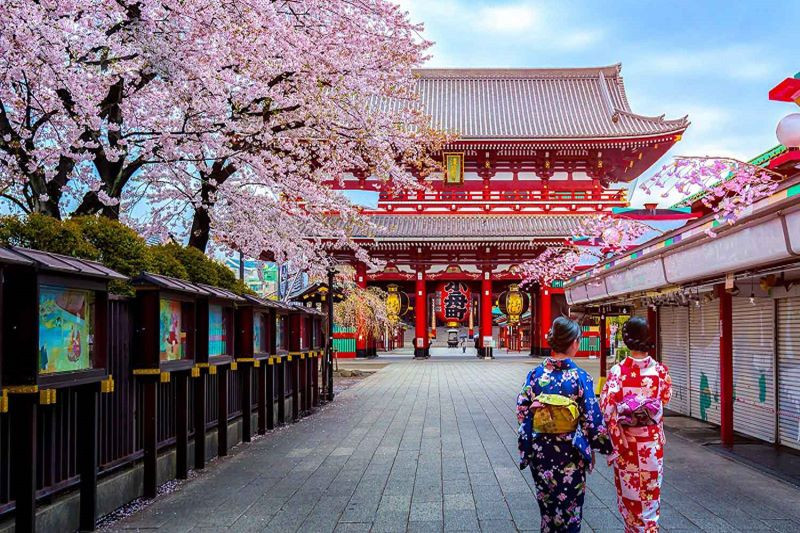 Thời gian lý tưởng để ngắm hoa anh đào khi du lịch Nhật Bản 