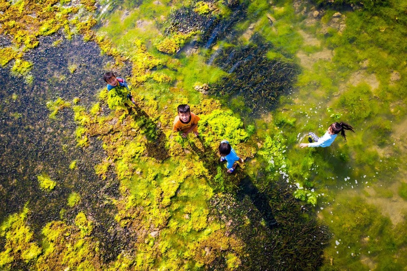 Mùa rêu xanh tại Hòn Đỏ Ninh Thuận